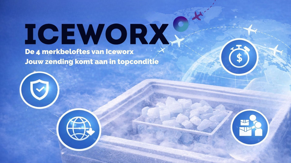 De 4 merkbeloftes van Iceworx: zekerheid bij elke zending